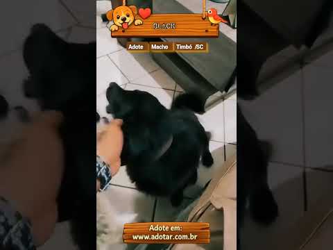 Vídeo de BLACK 