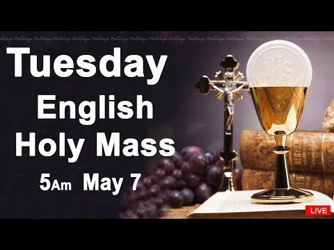 Catholic Mass Today I Daily Holy Mass I Tuesday May 7 2024 I English Holy Mass I 5.00 AM