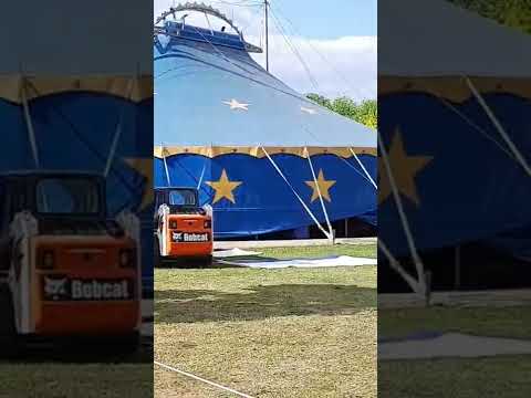 Circus-Alberti 12. Juni 2022 Tiere Aufführung Show lustig Kamele Zelt Zirkus #shorts Pfungstadt