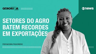 Setores do agro batem recordes em exportações