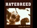 HATEBREED UNRELEASED ROCK & ROLL VERSION kill an addict 1996