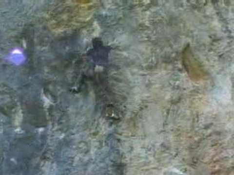 Ben L'ami de tout le monde, ceuse