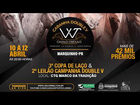 2º LEILÃO DA CABANHA DOUBLE V - MARQUINHO-PR