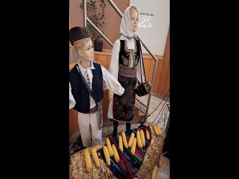 Zapjevaj, zaigraj, običaj sačuvaj - KUD J.J.Zmaj Sollenau (Donja Austrija)