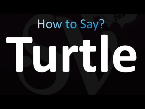 How to Pronounce Turtle