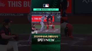 【日本人選手ホームラン集】大谷翔平が第49号ホームラン‼️9月14日 vsジャイアンツ ローガン・ウェブ🔥#shorts #SPOTVNOWシリーズ