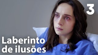 Capítulo 3