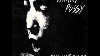 Harry Pussy - Untitled #1