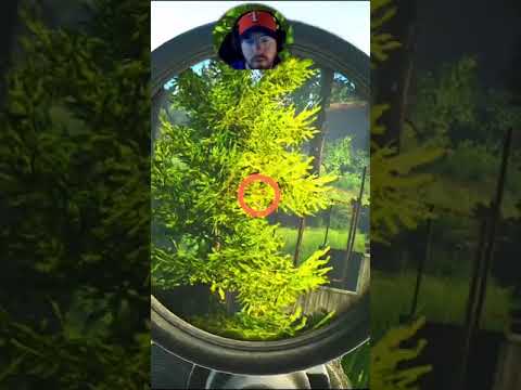 I was too late!! Shoreline Sniping!!