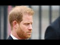 ‘This would be a burn’: Harry in tears as William bestowed with honour