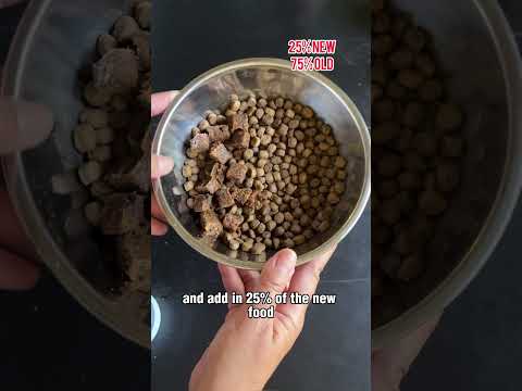 Avoid a tummyache when changing ur dogs  food! Heres how to slowly transition them to new food.