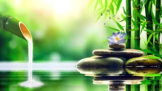 relax music 24/7 enjoy with the natural water sound and piano