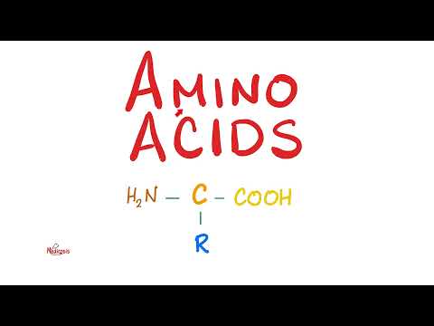 Amino Acids (Part 2) | Classification | Biochemistry MCAT