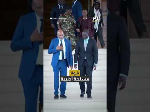 منظمة أمريكية: 18 دولة ستشارك لمكافحة العصابات في هايتي 