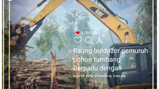 Download lagu Isi Rimba Tak Ada Tempat Berpijak Lagi - Iwan fals (Story WA dan Instagram) mp3