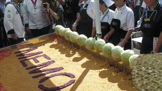 Prezentare Varză a la Cluj 400 kg 8 septembrie 2013 ziuadecj ro