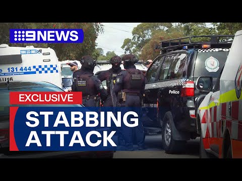 Man arrested after hour-long siege and stabbing | 9 News Australia