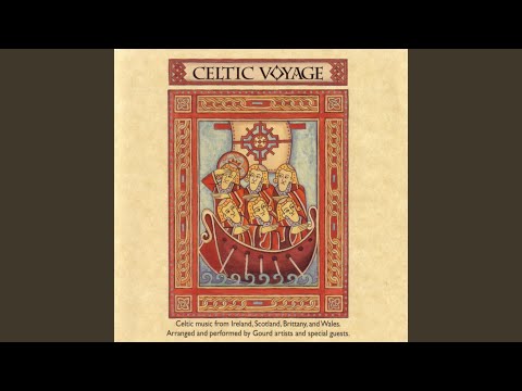 Rose In The Heather/ Tom Billy's Jig