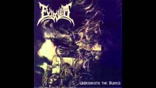 Eviscium - Buzzard Feeding Frenzy