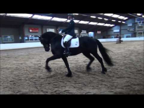 Stal Okkema's Rudmer