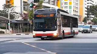 (Debut) SMB1305A(SEDEP 800) On Service 807 At Yishun Avenue 2