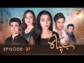 Bepanah - Episode 37 - ( Eshal Fayyaz - Khaqan Shahnawaz - Kanwal Khan ) 30th November 2022 - HUM TV