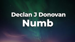 Declan J Donovan - Numb (Letra/Lyrics) | Official Music Video
