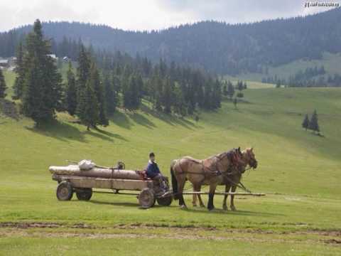 Pensiunea Alexolar - Trifeşti - Romania