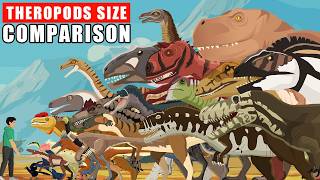 Theropods Dinosaurs Walking Size Comparison