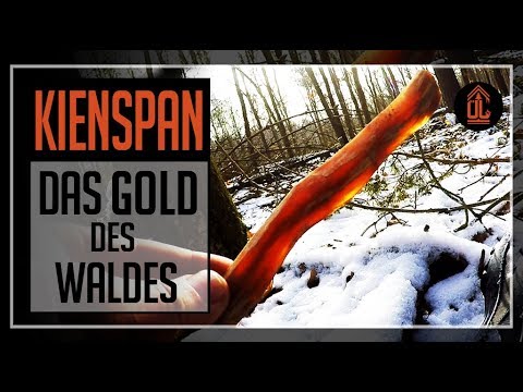 KIENSPAN | suchen | finden | anzünden | Zunder | Feuer | fatwood | Maya Sticks