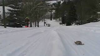 Sledding 2010 Sledding 2010