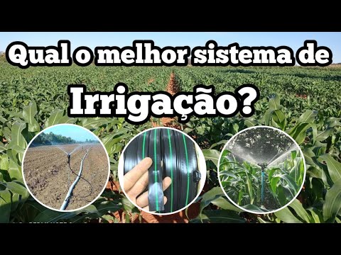 Qual o Melhor sistema de IRRIGAÇÃO para MILHO VERDE?