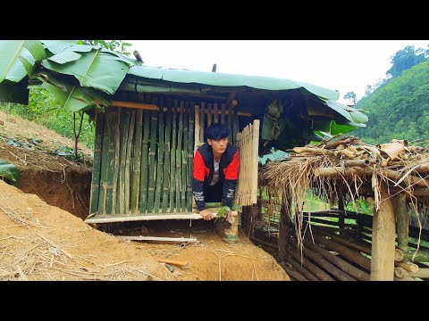 , title : 'Completing the Chicken Coop to Raise 500 Chickens, Building Life, Episode 69'