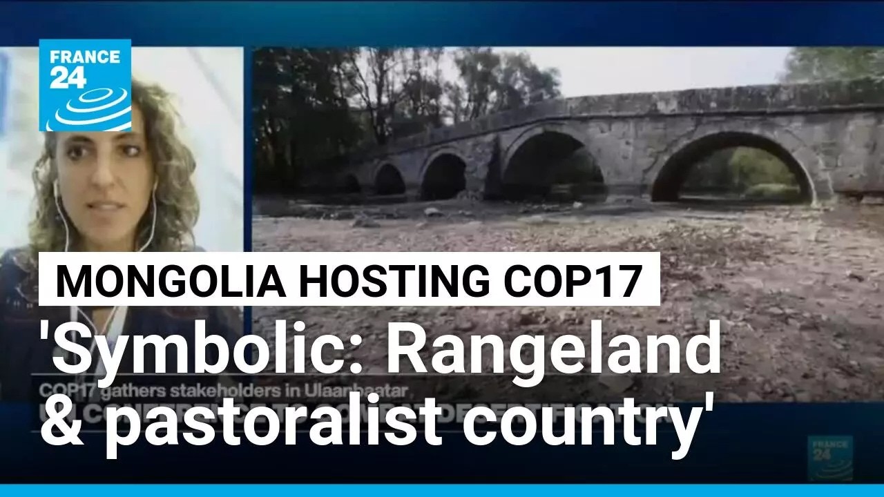 Reforestation and sustainable land & water management can help combat desertification • FRANCE 24