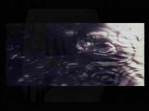 Kingdom Hearts - Needle Through a Bug