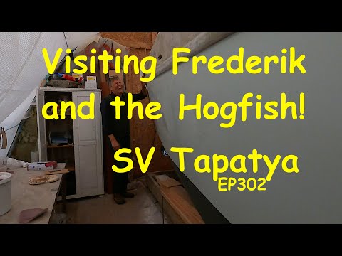 Visiting Frederik and the Hogfish! - SV Tapatya EP302