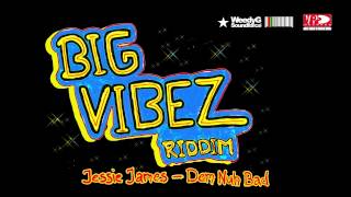 VA Big Vibez Riddim 2013 | Busy Signal, Assassin, Perfect, Jessie James, Melloquence, Villa Dutch