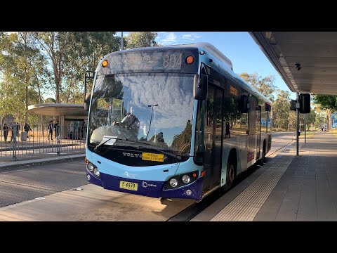 2190ST Transport Vlog 473: [Transit Systems] Nice ZF Ecomat on Volvo B12BLE (Custom) (1278 804)