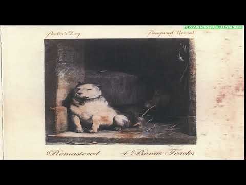 Pavl͟o͟v͟ 's Dog--Pamper͟e͟d͟ Menial 1975 Full Album HQ