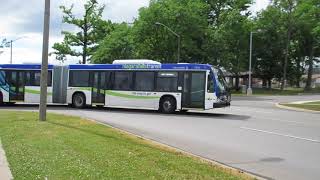 Niagara Falls Transit NovaBus LFS-A Gen-4 1810