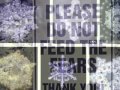 Lee Perry-Peace And Dub