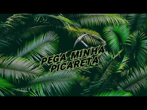 PEGA MINHA PICARETA ⛏️ - DEEJAY TELIO - RENNAN DA PENHA - SAVANAH