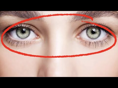 A melhor fruta para melhorar a saúde ocular e muito mais | Eco Show 42