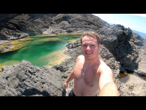 EXPLORING HIDDEN ROCK POOLS (Traveling in New Zealand)