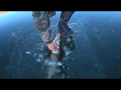 «Щука по первому льду! Лучшее начало сезона»