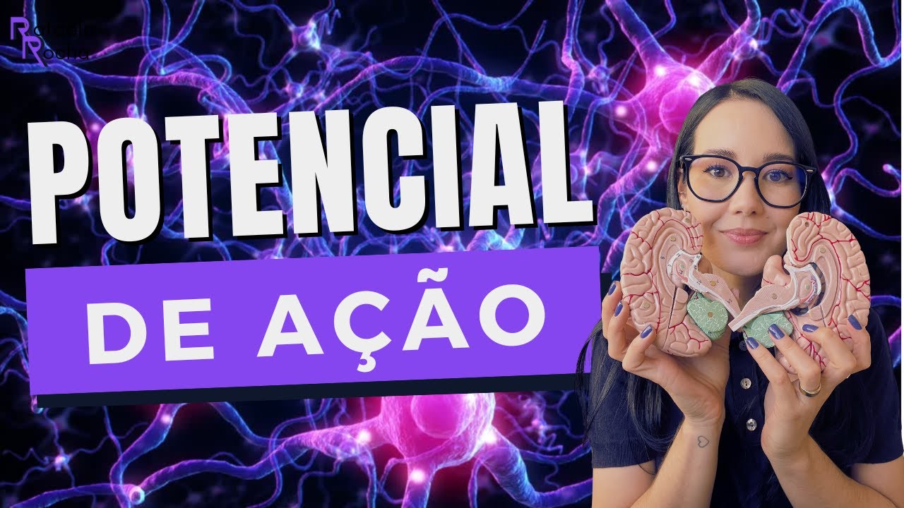 Como o IMPULSO ELÉTRICO percorre o neurônio