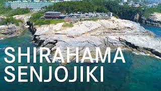 動画2