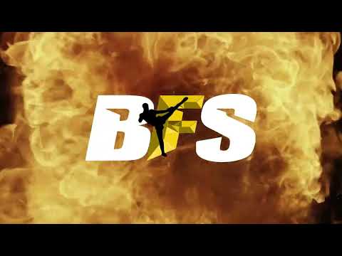 Boxing Fighter System