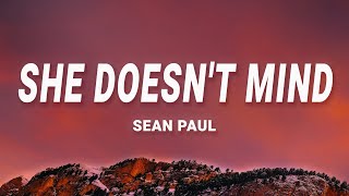Download lagu Sean Paul She Doesn t Mind... mp3