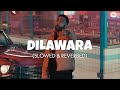 Dilawara Slow Reverb Profic Lofi Edit 2023